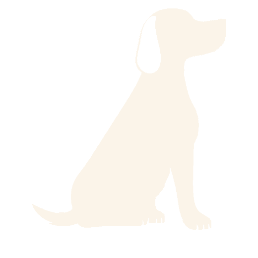 Busy Hound logo
